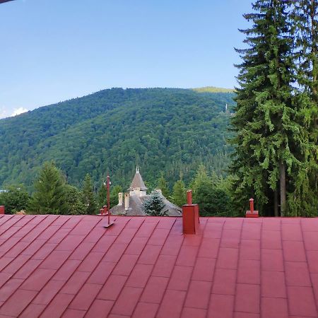 Appartamento Cozy Loft At Teleferic Sinaia Esterno foto