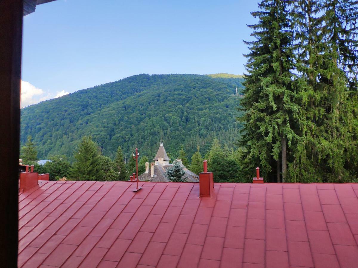 Appartamento Cozy Loft At Teleferic Sinaia Esterno foto